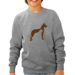 Cane Gatto felpa senza cappuccio personalizzata bambino digitalshirt grigia